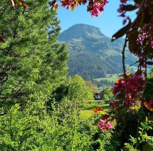 Apartmán Via Decia - Partner *